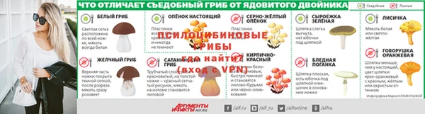 шишки Алексеевка