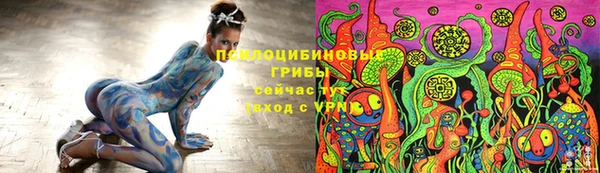 бутират Медногорск