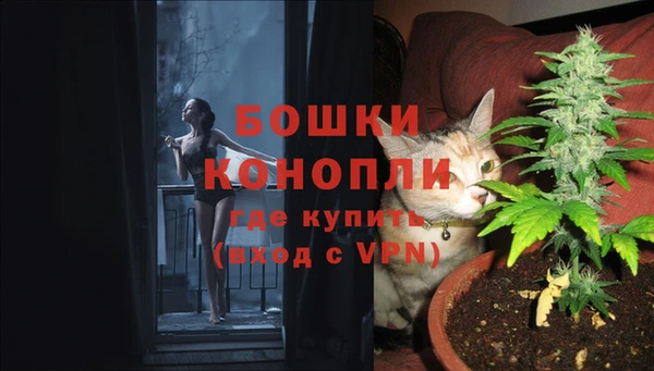 бутират Медногорск