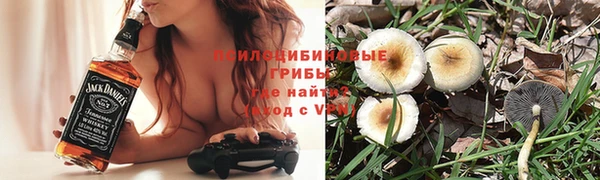 индика Аркадак