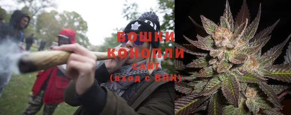 спиды Алзамай