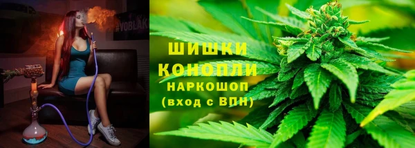индика Аркадак